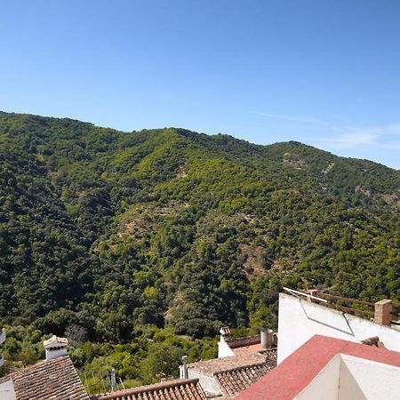 Casa La Parra Villa Jubrique Exteriör bild